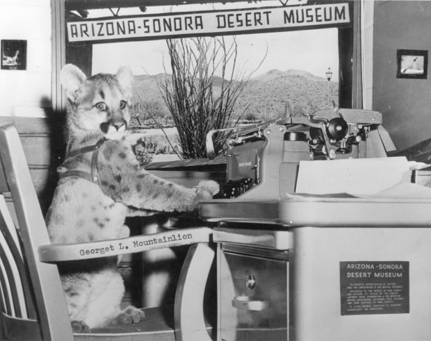 George L. Mountainlion